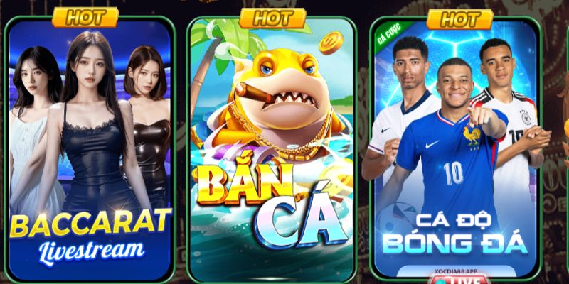 Tận hưởng game săn cá hấp dẫn