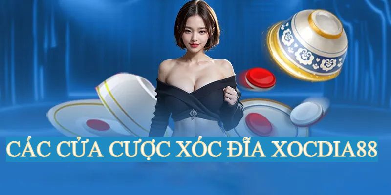 Những cửa cược phổ biến của trò chơi